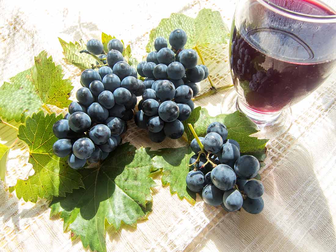 resveratrol